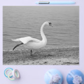 Tanzschwan Flyer (Einzeln)