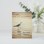 Tanzseagull Postkarte (Stehend Vorderseite)