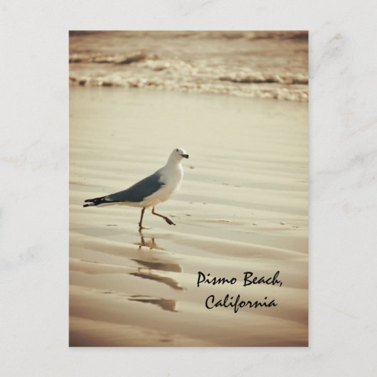 Tanzseagull Postkarte (Vorderseite)