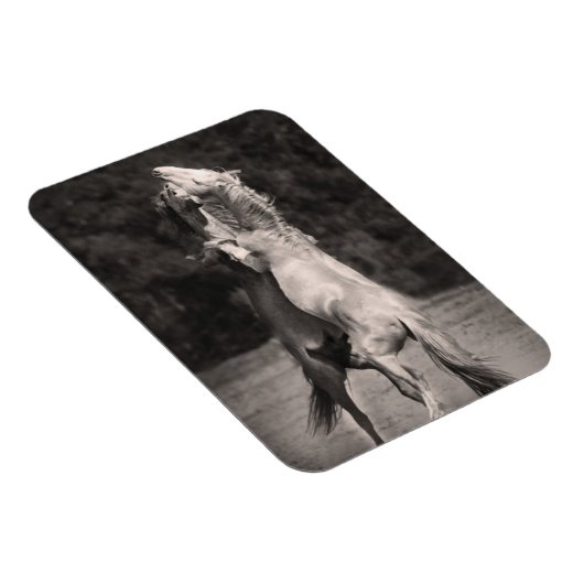 Tanzställe Magnet (Rechte Seite)