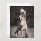 Tanzställe Postkarte (Vorne/Hinten)