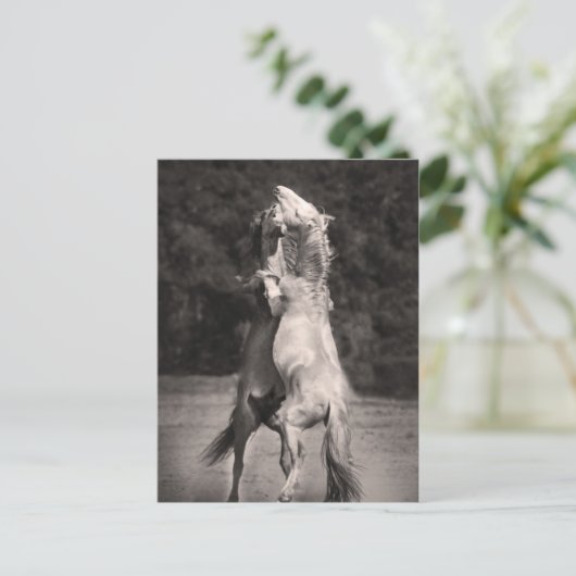 Tanzställe Postkarte (Stehend Vorderseite)