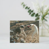 Tanztage Postkarte (Stehend Vorderseite)