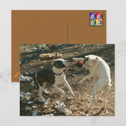 Tanztage Postkarte (Vorne/Hinten)