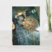 "Tanzturtles" Danke Karte (Vorderseite)