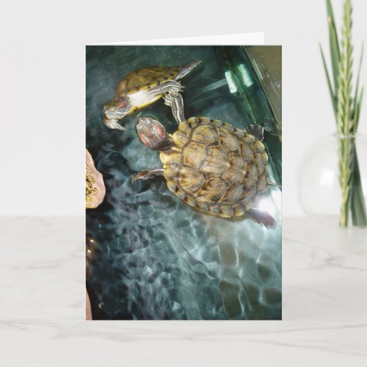 "Tanzturtles" Danke Karte (Vorderseite)