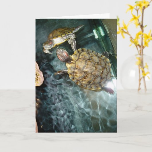 "Tanzturtles" Danke Karte (Gelbe Blume)