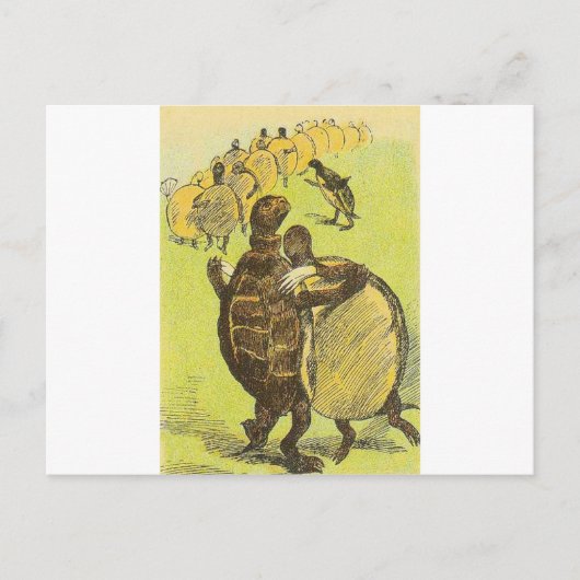 Tanzturtles Postkarte (Vorderseite)