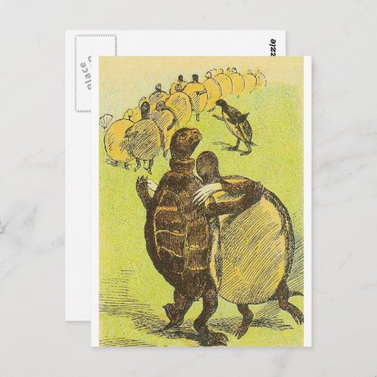 Tanzturtles Postkarte (Vorne/Hinten)