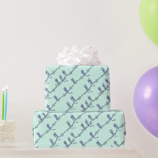 Tanzunterricht Geschenkpapier (Grün) (Partygeschenke)