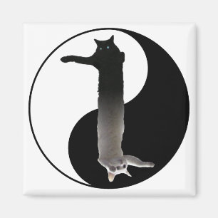Tao von Longcat Magnet