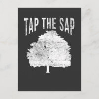 Tap The Sap for Maple Syrup Tree Maple Sugaring
