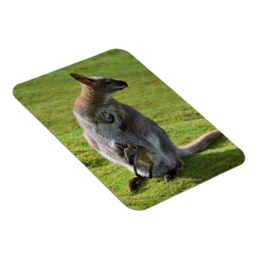 Tapaby mit rotem Hals und Freude Magnet (Rechte Seite)