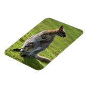 Tapaby mit rotem Hals und Freude Magnet (Linke Seite)