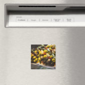 Tapas aus gestopften Oliven Magnet (In Situ (Geschirrspüler))