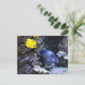 Tape-Postkarte Postkarte (Stehend Vorderseite)