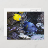 Tape-Postkarte Postkarte (Vorne/Hinten)