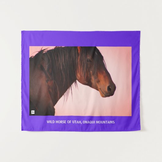 TAPESTRY WILD HORSE VON UTAH, ONAQUI BERGE WANDTEPPICH (Vorderseite (Horizontal))