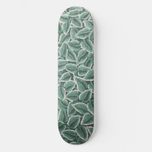 Tapete aus Jane Austens Zuhause Skateboard
