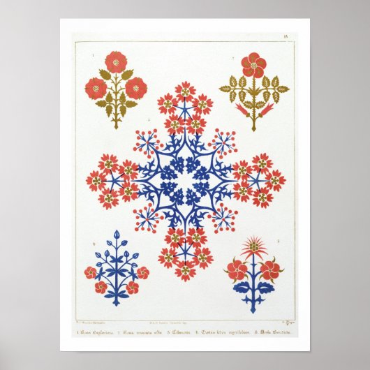 Tapete aus Violiet, Iris und Tulpe, tl Poster (Vorne)