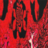 Tapete - Schwarze Himbeere & Feurige Spirale (Naht)