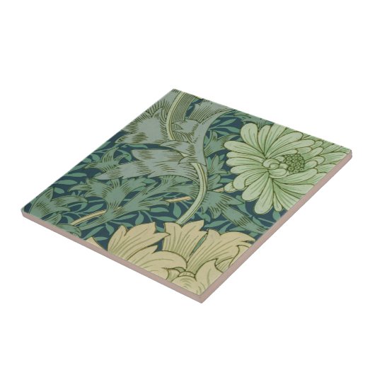 Tapeten-Muster-Probe mit Chrysantheme Fliese (Seite)