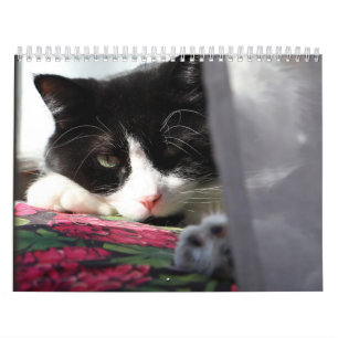 Tapferer Sir Baby Kalender