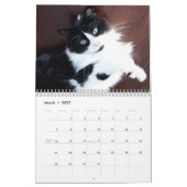 Tapferer Sir Baby Kalender (Mär 2027)