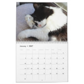 Tapferer Sir Baby Kalender (Jan 2027)