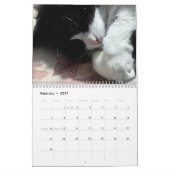 Tapferer Sir Baby Kalender (Feb 2027)