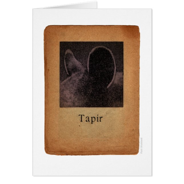 Tapir (Vorne)
