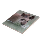 Tapir_2015_0101 Fliese (Seite)