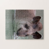 Tapir_2015_0101 Puzzle (Horizontal)