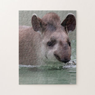 Tapir_2015_0101 Puzzle