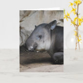 Tapir-Anmerkungs-Karte Karte (Gelbe Blume)