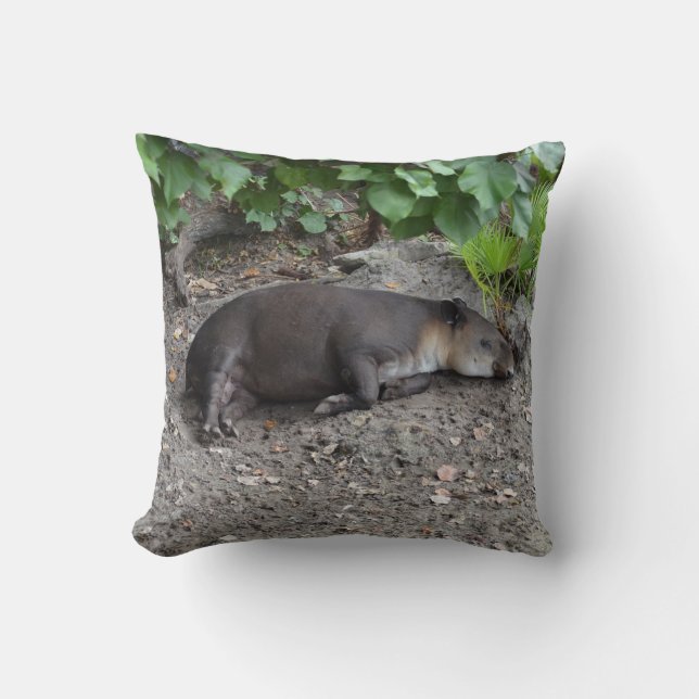 Tapir, der auf Sand schläft Kissen (Vorderseite)