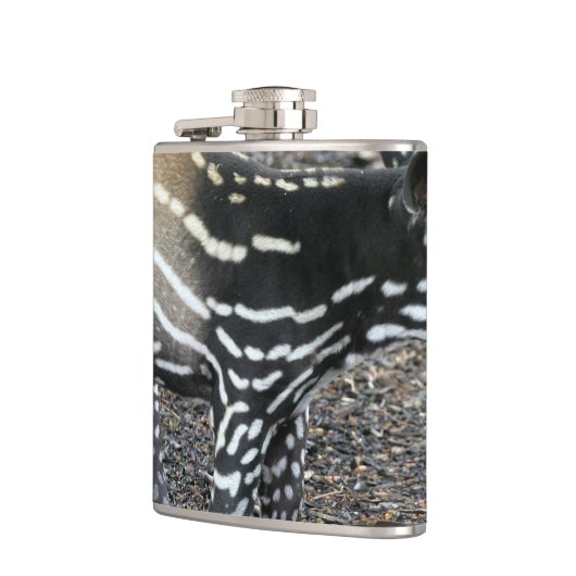 Tapir Flachmann (Links)