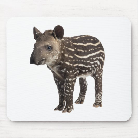 Tapir Mousepad (Vorne)
