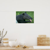 Tapir Poster (Küche)