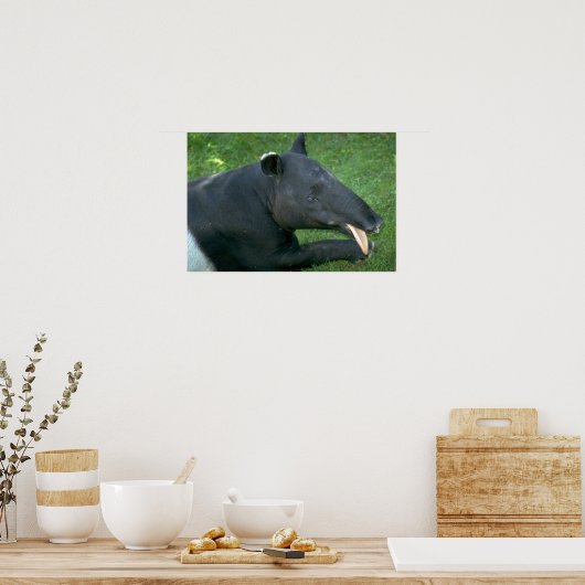 Tapir Poster (Küche)