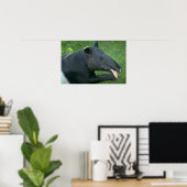 Tapir Poster (Heimbüro)