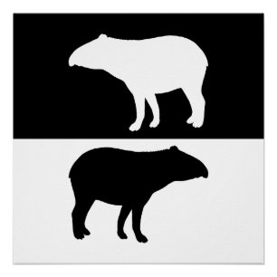 Tapir Poster