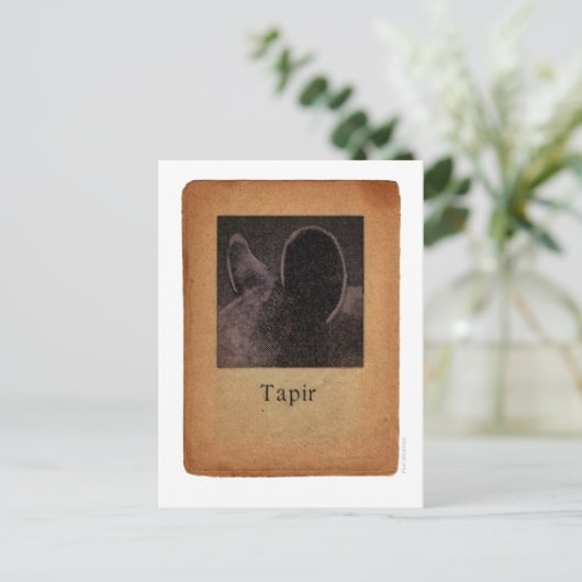 Tapir Postkarte (Stehend Vorderseite)