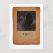 Tapir Postkarte (Vorderseite)