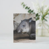 Tapir-Postkarte Postkarte (Stehend Vorderseite)