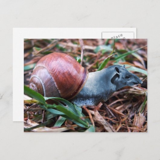 Tapisnail-Postkarte Postkarte (Vorne/Hinten)