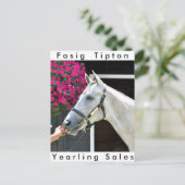 Tapit - Rote Angesagt Nr. 140 Postkarte (Stehend Vorderseite)