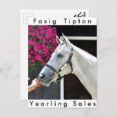 Tapit - Rote Angesagt Nr. 140 Postkarte (Vorne/Hinten)