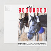 Tapwrit & Always Dreaming Postkarte (Vorne/Hinten)