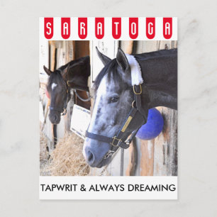Tapwrit & Always Dreaming Postkarte
